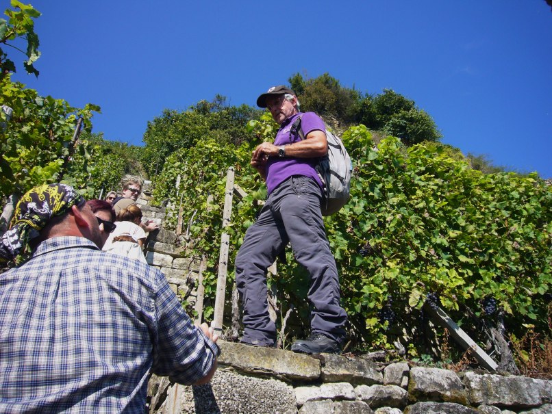 Steillagenfuehrung_Weinerlebnis_Lohfink-Foto_Renate_Lohfink (3), &copy; Renate Lohfink