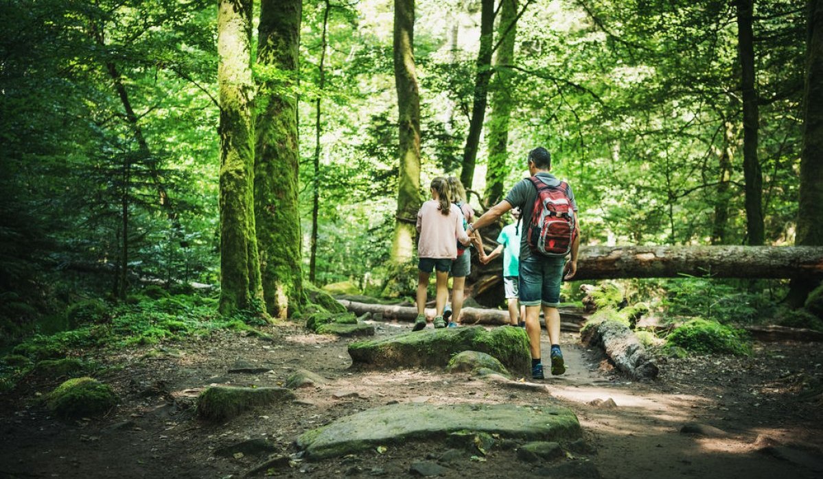 Unterwegs durch das Monbachtal, © Freizeit & Tourismus Bad Liebenzell GmbH Unterwegs durch das Monbachtal, © Freizeit & Tourismus Bad Liebenzell GmbH