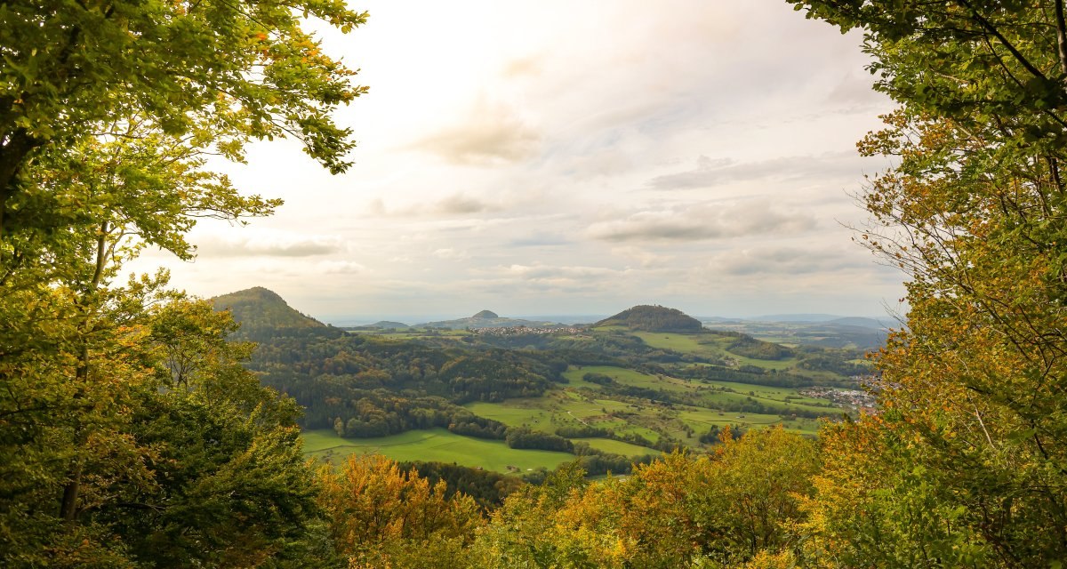 Blick auf die Drei Kaiserberge durch herbstlich gefärbte Bäume. Die Landschaft ist grün und hügelig, der Himmel leicht bewölkt., © Foto: Mario Klaiber Blick auf die Drei Kaiserberge durch herbstlich gefärbte Bäume. Die Landschaft ist grün und hügelig, der Himmel leicht bewölkt., © Foto: Mario Klaiber