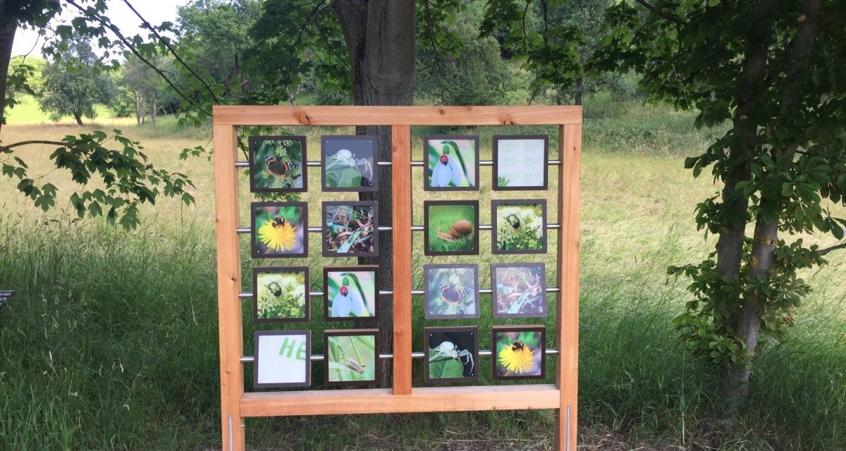 Ein XXL-Memory-Spiel mit Naturmotiven steht zwischen B&auml;umen auf einer Wiese. Es zeigt Bilder von Insekten und Pflanzen., &copy; www.pro-cycl.de