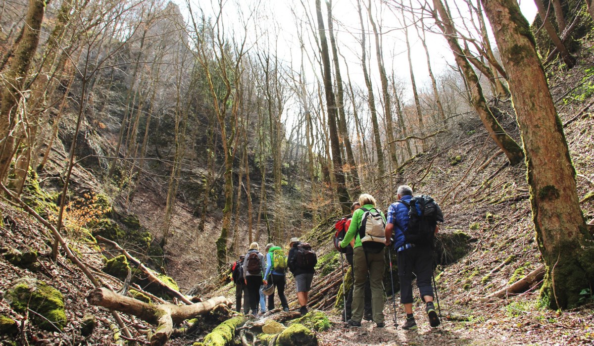 Eine Gruppe von Wanderern mit Rucksäcken geht auf einem Waldpfad durch ein felsiges Tal. Die Bäume sind kahl und der Boden ist mit Laub bedeckt., © Stadt Geislingen an der Steige Eine Gruppe von Wanderern mit Rucksäcken geht auf einem Waldpfad durch ein felsiges Tal. Die Bäume sind kahl und der Boden ist mit Laub bedeckt., © Stadt Geislingen an der Steige