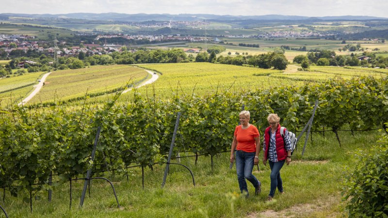 Zwei Frauen wandern durch einen Weinberg. Im Hintergrund erstreckt sich eine weite, hügelige Landschaft mit Feldern und einem Dorf., © Land der 1000 Hügel - Kraichgau-Stromberg