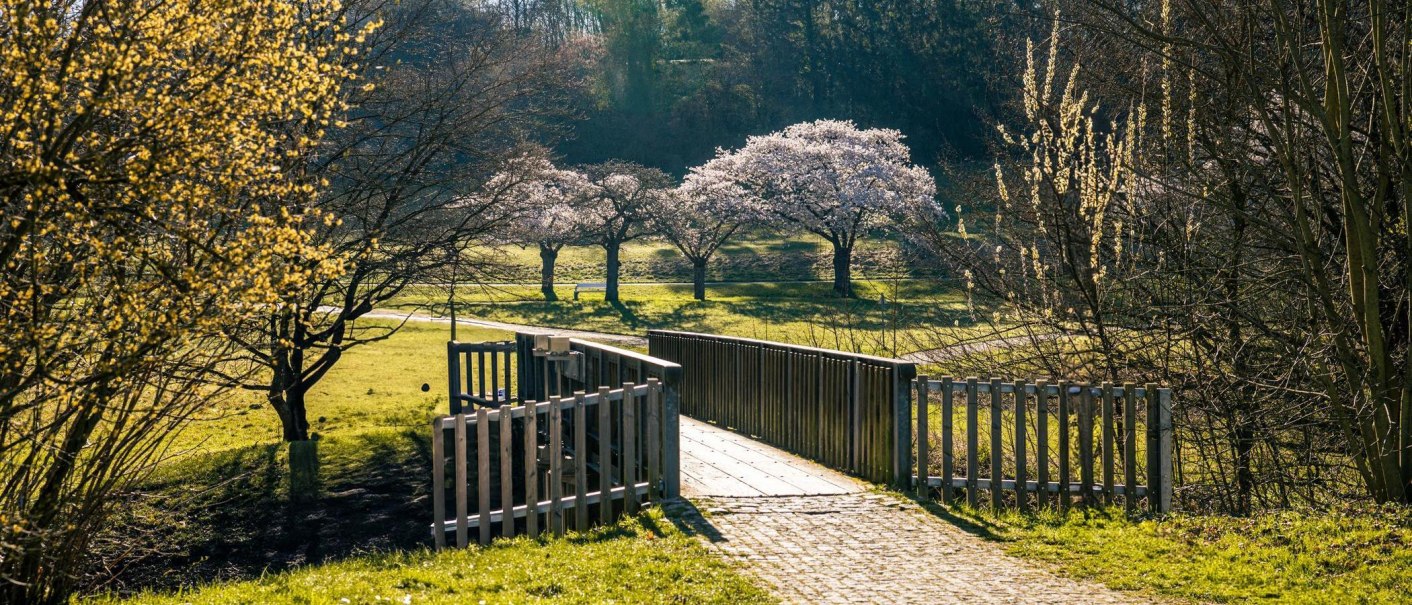 Ein sonniger Park mit bl&uuml;henden B&auml;umen und einer Holzbr&uuml;cke, die &uuml;ber einen kleinen Graben f&uuml;hrt. Fr&uuml;hlingshafte Atmosph&auml;re., &copy; Stuttgart-Marketing GmbH, Sarah Schmid