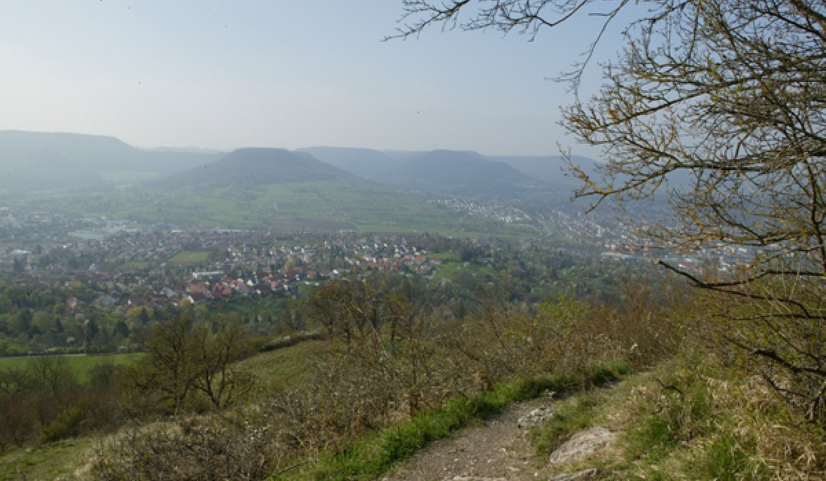 Panoramablick auf eine Stadt im Tal, umgeben von Hügeln. Im Vordergrund sind Bäume und ein Pfad zu sehen., © Sphäre Verlag Panoramablick auf eine Stadt im Tal, umgeben von Hügeln. Im Vordergrund sind Bäume und ein Pfad zu sehen., © Sphäre Verlag