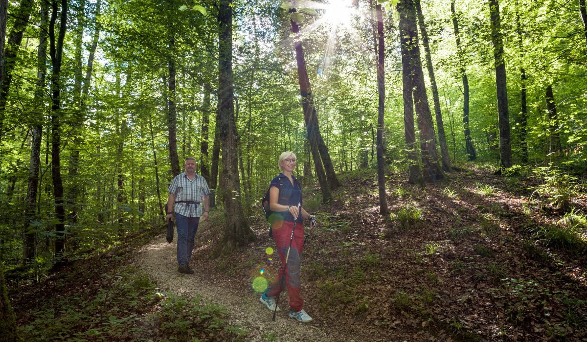 Zwei Personen wandern auf einem Waldweg. Die Sonne scheint durch die Bäume und erzeugt Lichtstrahlen im grünen Laub., © hochgehberge Zwei Personen wandern auf einem Waldweg. Die Sonne scheint durch die Bäume und erzeugt Lichtstrahlen im grünen Laub., © hochgehberge