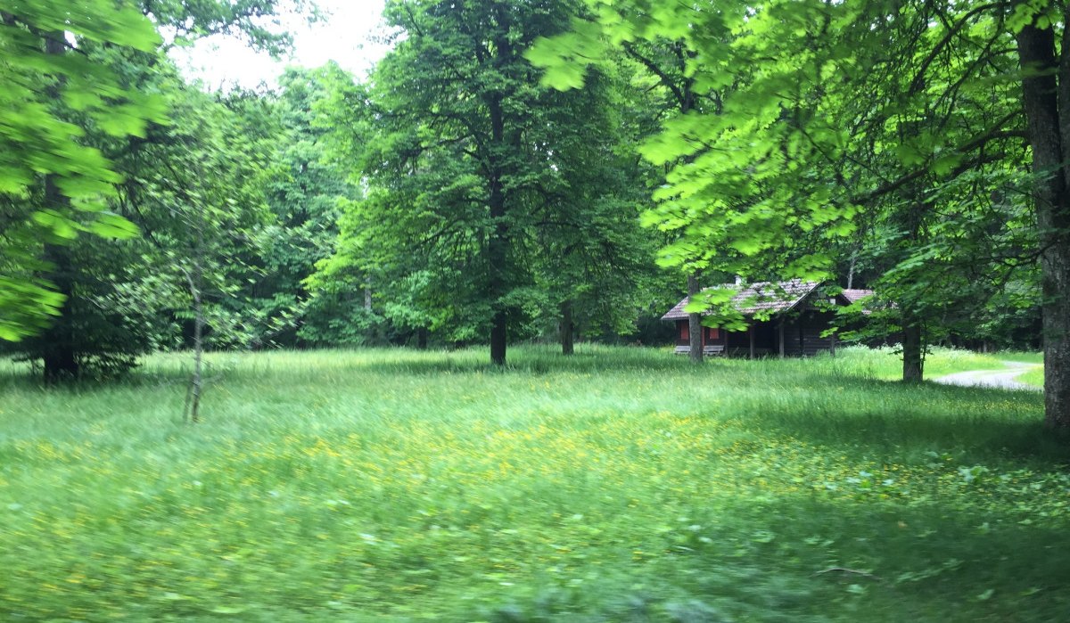 Eine Holzhütte steht in einem grünen Wald, umgeben von Bäumen und einer Wiese. Der Himmel ist bewölkt., © www.pro-cycl.de