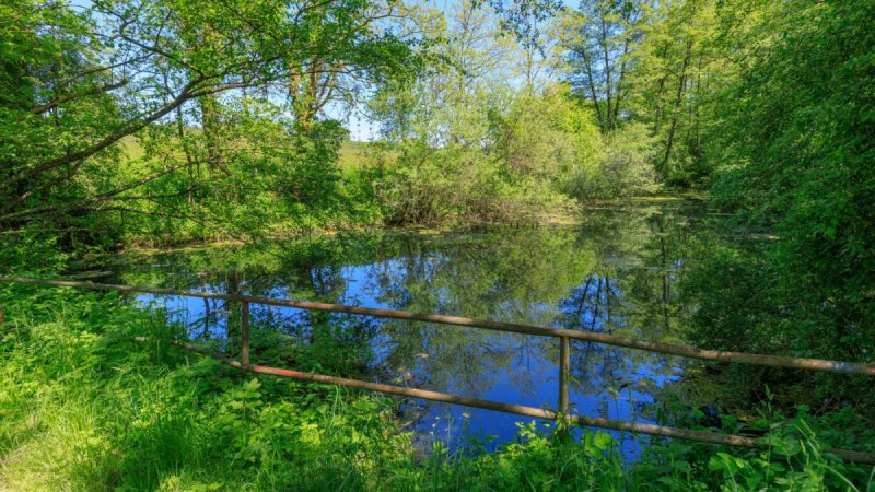 Blaubeerweg - F2 - Wanderweg:Örtlicher Wanderweg mit Start in Murrhardt, © All rights reserved to Stefan Bossow Pixxel-Art Photography Blaubeerweg - F2 - Wanderweg:Örtlicher Wanderweg mit Start in Murrhardt, © All rights reserved to Stefan Bossow Pixxel-Art Photography