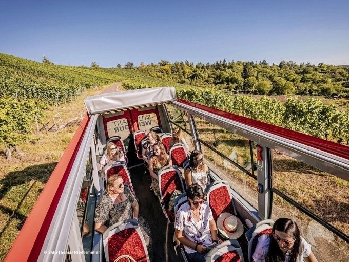 Touristen in einem offenen Bus genie&szlig;en eine Weintour durch die Weinberge bei Stuttgart unter blauem Himmel., &copy; SMG, Thomas Niederm&uuml;ller