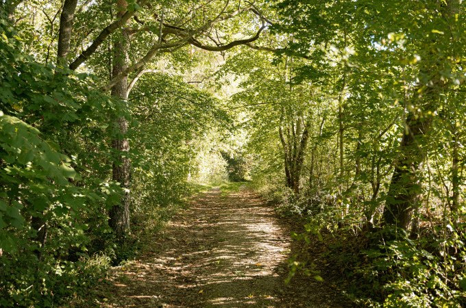 Mit dem Weiler Hannes unterwegs nach Perouse, © Stadtverwaltung Weil der Stadt