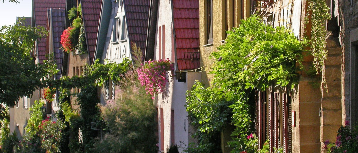 Fachwerkhäuser in Marbach am Neckar mit blühenden Pflanzen und roten Dächern. Die Straße ist von Bäumen und Blumen gesäumt., © Tourismusgemeinschaft Marbach-Bottwartal/Dieter Sukowski Fachwerkhäuser in Marbach am Neckar mit blühenden Pflanzen und roten Dächern. Die Straße ist von Bäumen und Blumen gesäumt., © Tourismusgemeinschaft Marbach-Bottwartal/Dieter Sukowski