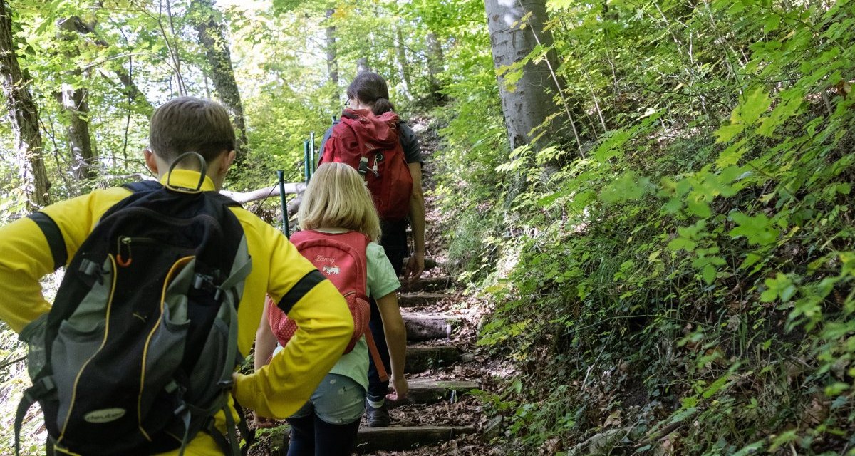 Drei Wanderer mit Rucksäcken steigen eine Treppe im Wald hinauf. Umgeben von grünen Bäumen und dichtem Laubwerk., © Foto Thomas Zehnder Drei Wanderer mit Rucksäcken steigen eine Treppe im Wald hinauf. Umgeben von grünen Bäumen und dichtem Laubwerk., © Foto Thomas Zehnder