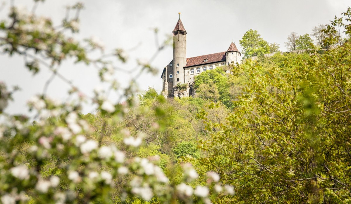 Burg Teck thront auf einem bewaldeten Hügel, umgeben von blühenden Bäumen und grünem Laub., © hochgehberge