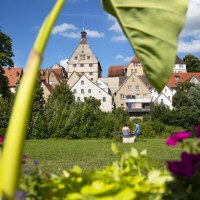 Historische Altstadt von Besigheim mit Fachwerkhäusern, umgeben von grüner Natur und bunten Blumen im Vordergrund., © Stadt Besigheim