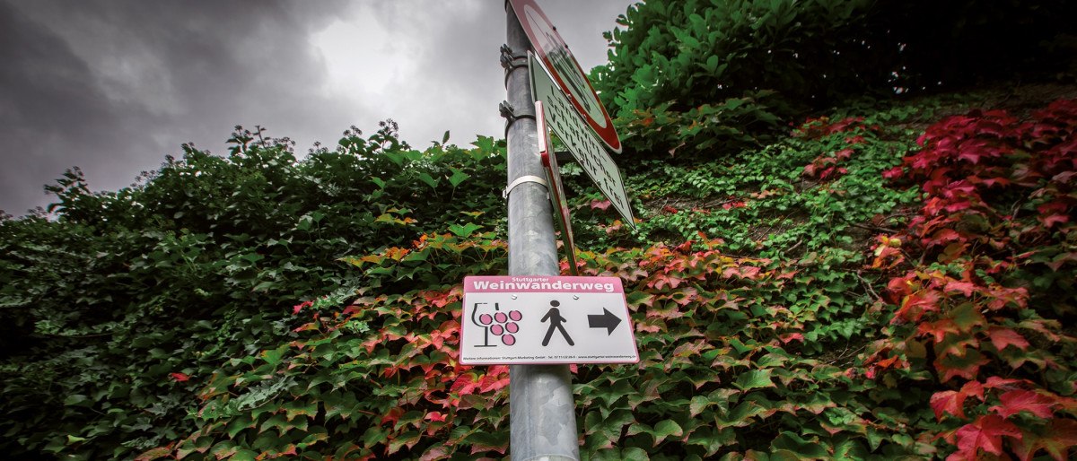 Schild des Stuttgarter Weinwanderwegs an einem Pfosten, umgeben von grünem und rotem Laub, unter bewölktem Himmel., © Stuttgart-Marketing GmbH Schild des Stuttgarter Weinwanderwegs an einem Pfosten, umgeben von grünem und rotem Laub, unter bewölktem Himmel., © Stuttgart-Marketing GmbH