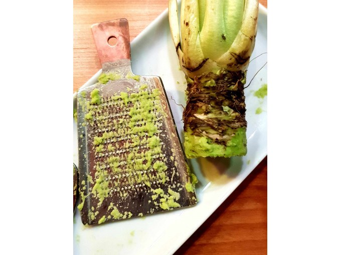 Reibe mit geriebenem Wasabi und Wasabiwurzel auf einem Teller, Nahaufnahme., &copy; Kultweine-Kochwelten-Kunst&uuml;cke - Kochschule Sonja Lenz