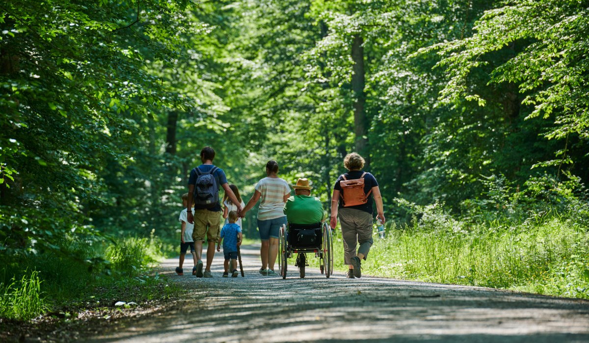 Eine Gruppe von Menschen, darunter eine Person im Rollstuhl, spaziert auf einem sonnigen Waldweg. Die Umgebung ist gr&uuml;n und friedlich.
