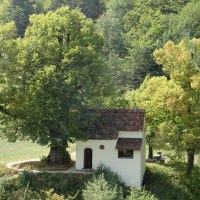 Die Reiterleskapelle steht idyllisch inmitten von Bäumen und grüner Natur, mit einem kleinen Weg, der zur Kapelle führt., © Foto: Frieder Kopper