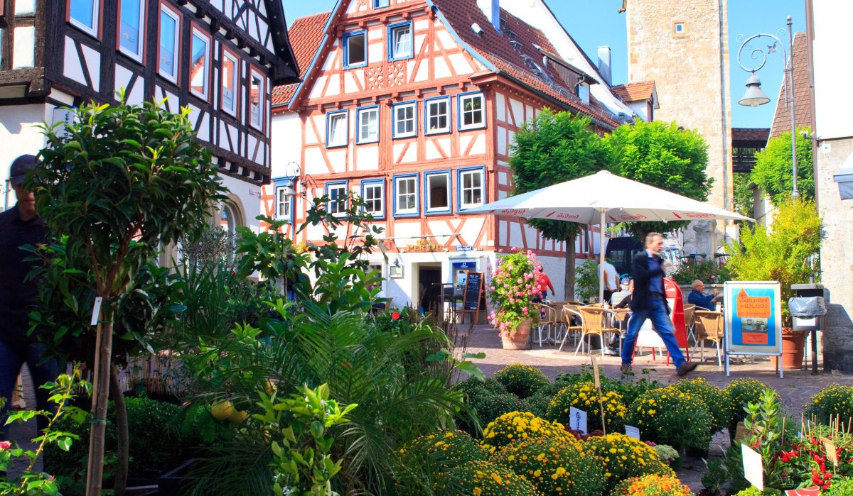 Fachwerkhäuser und ein Turm in einer Altstadt. Im Vordergrund ein Blumenmarkt mit bunten Pflanzen unter blauem Himmel., © Waiblingen - Stuttgart-Marketing GmbH Fachwerkhäuser und ein Turm in einer Altstadt. Im Vordergrund ein Blumenmarkt mit bunten Pflanzen unter blauem Himmel., © Waiblingen - Stuttgart-Marketing GmbH