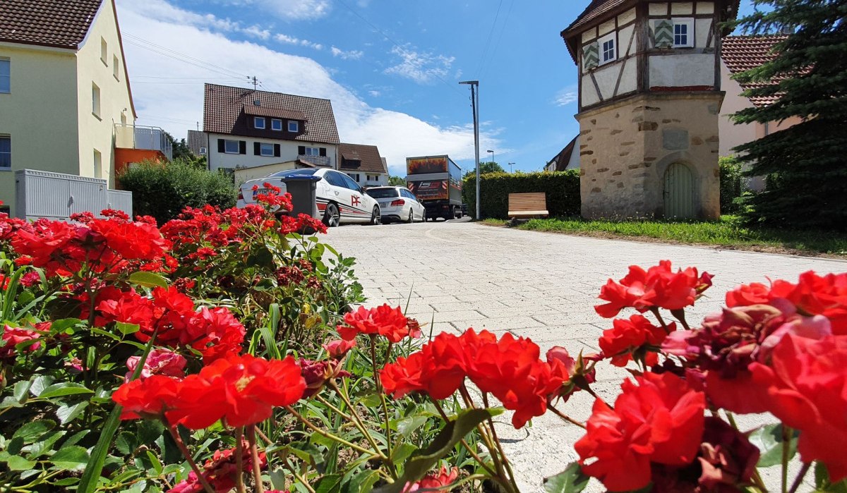 Rote Blumen im Vordergrund, Fachwerkhaus und Wohnhäuser im Hintergrund unter blauem Himmel.