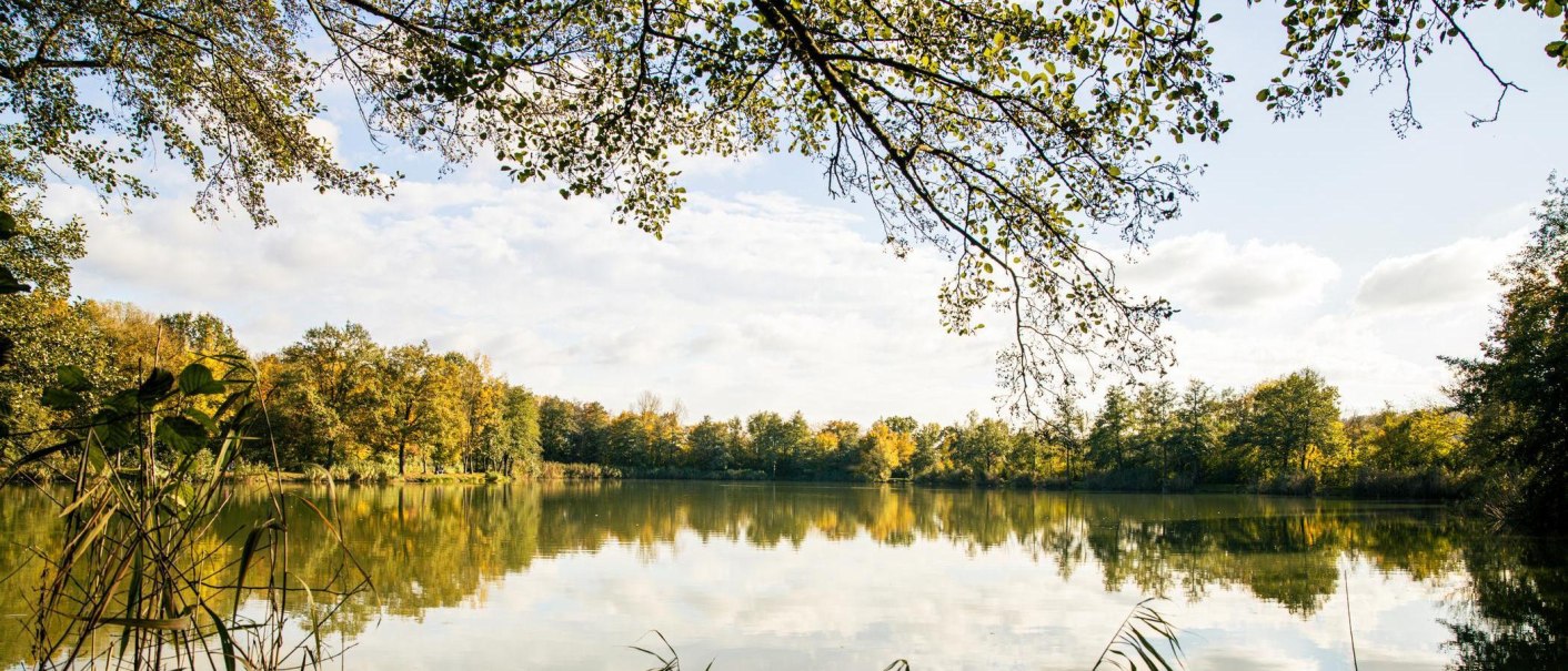 Ein idyllischer See umgeben von herbstlichen B&auml;umen unter einem klaren Himmel. Die Wasseroberfl&auml;che spiegelt die Landschaft wider., &copy; Stuttgart-Marketing GmbH, Sarah Schmid