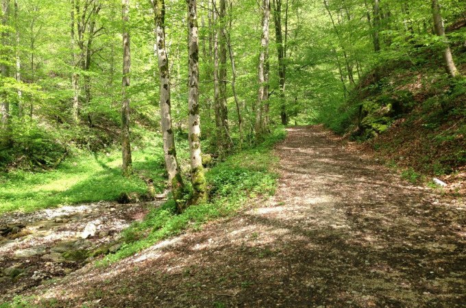 Ein Abenteuer für Kinder und Familien mit Erlebnispädagogin Sarah Spiegler, © Kurverwaltung Bad Urach Ein Abenteuer für Kinder und Familien mit Erlebnispädagogin Sarah Spiegler, © Kurverwaltung Bad Urach