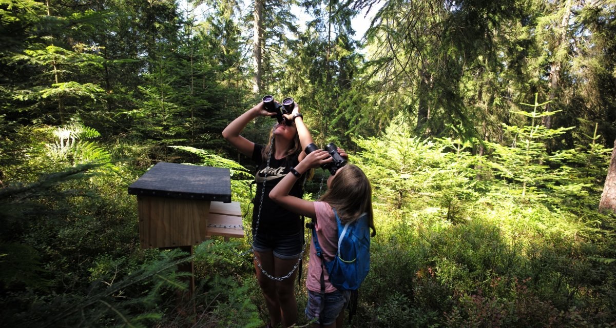 Kinder unterwegs auf dem Auerhahnsteig an einer der insgesamt 7 Stationen, &copy; N&ouml;rdlicher Schwarzwald