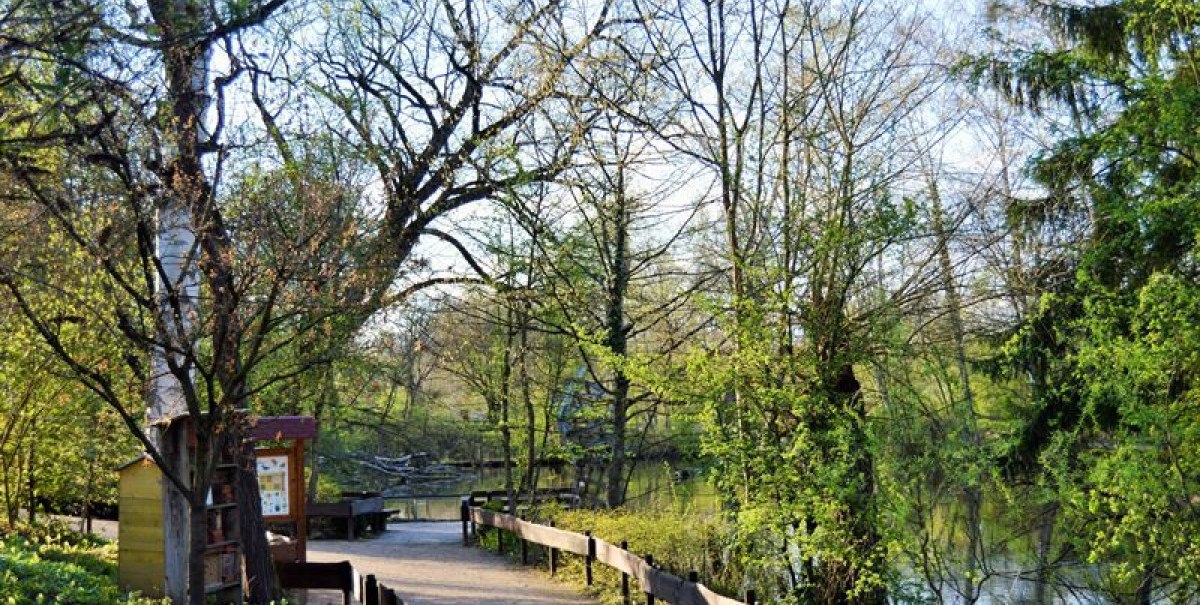 Ein kleiner Rundweg führt durchs Gelände, © Aquarien- und Terrarienverein Nymphaea