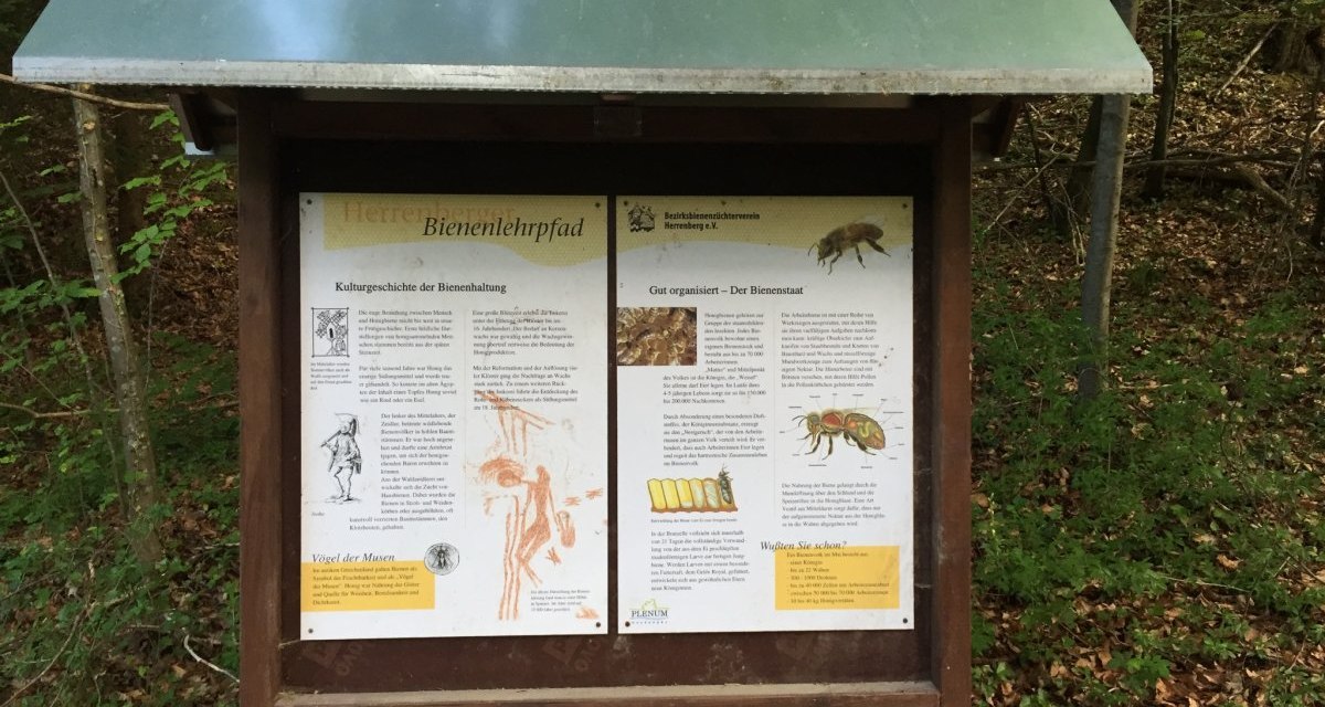 Ein Informationsschild im Wald erklärt die Kulturgeschichte der Bienenhaltung und die Organisation eines Bienenstaats., © www.pro-cycl.de Ein Informationsschild im Wald erklärt die Kulturgeschichte der Bienenhaltung und die Organisation eines Bienenstaats., © www.pro-cycl.de