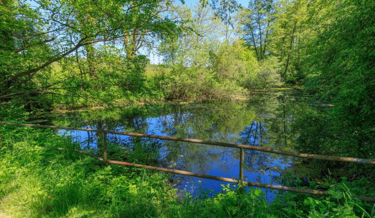 Blaubeerweg - F2 - Wanderweg:Örtlicher Wanderweg mit Start in Murrhardt, © All rights reserved to Stefan Bossow Pixxel-Art Photography Blaubeerweg - F2 - Wanderweg:Örtlicher Wanderweg mit Start in Murrhardt, © All rights reserved to Stefan Bossow Pixxel-Art Photography