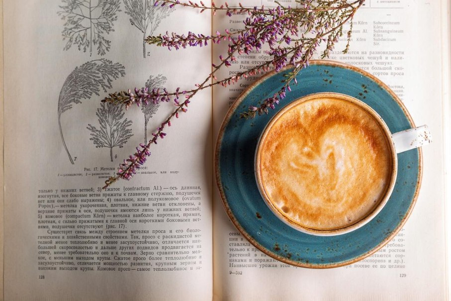 Eine Tasse Kaffee auf einem blauen Unterteller steht auf einem aufgeschlagenen Buch. Daneben liegen Lavendelzweige., © pixabay