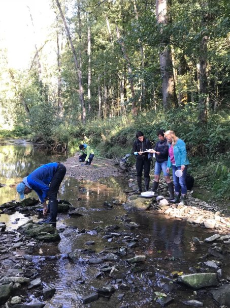 Gewässerführung, © Für die Bildrechte: Amt für Medien und Kommunikation Schwäbisch Gmünd