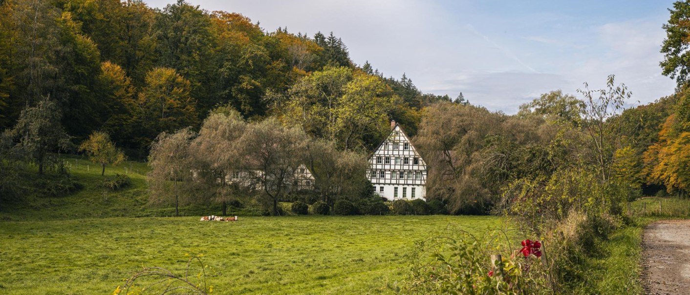 Fachwerkhaus im Siebenmühlental, umgeben von herbstlichen Bäumen und grünen Wiesen. Ein Weg führt am Bildrand entlang., © SMG, Sarah Schmid