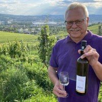 Ein Mann in einem lila Hemd hält eine Weinflasche und ein Glas in einem Weinberg. Im Hintergrund ist Stuttgart mit einem Stadion zu sehen., © Weingenuss Stuttgart