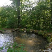 Ein kleiner Teich im Wald, umgeben von üppigem Grün und Bäumen, mit klarem Wasser und Steinen am Ufer., © Bad Urach Tourismus