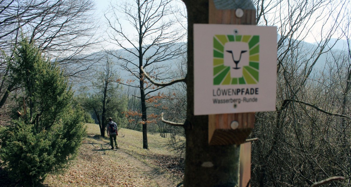 Ein Wanderer auf einem Waldweg, umgeben von kahlen Bäumen. Ein Schild der Löwenpfade Wasserberg-Runde ist an einem Baum befestigt., © Landkreis Göppingen Ein Wanderer auf einem Waldweg, umgeben von kahlen Bäumen. Ein Schild der Löwenpfade Wasserberg-Runde ist an einem Baum befestigt., © Landkreis Göppingen