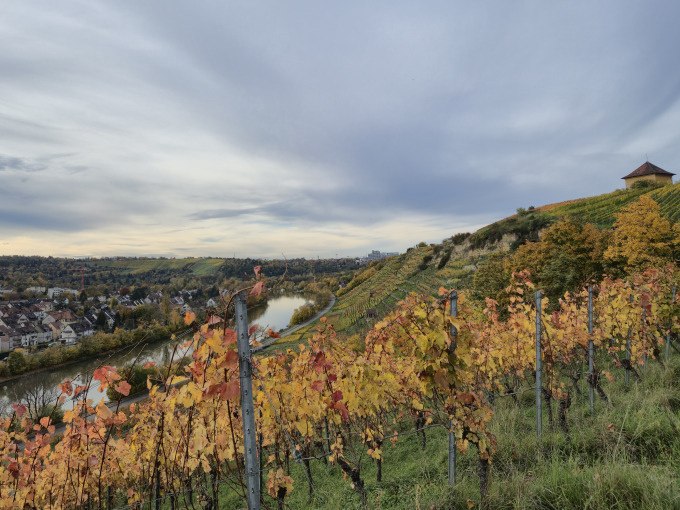 Herbstliche Weinberge mit buntem Laub erstrecken sich entlang eines Hügels. Ein Fluss schlängelt sich durch die Landschaft, während der Himmel bewölkt ist., © Cool-Tours StattReisen Herbstliche Weinberge mit buntem Laub erstrecken sich entlang eines Hügels. Ein Fluss schlängelt sich durch die Landschaft, während der Himmel bewölkt ist., © Cool-Tours StattReisen