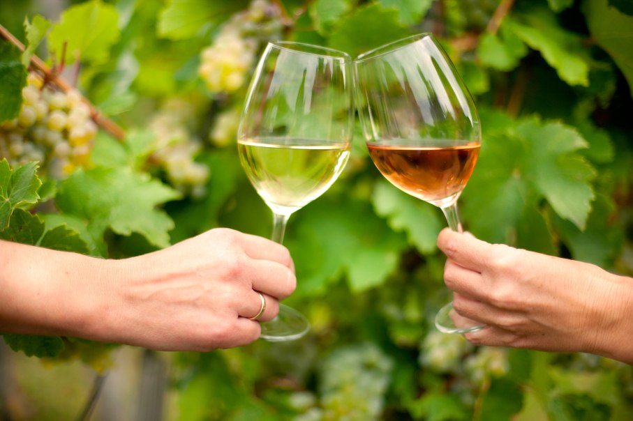 Weinglaeser_Bottwartal-Foto_Corinna_Holzer_3_49MB, &copy; Corinna Holzer