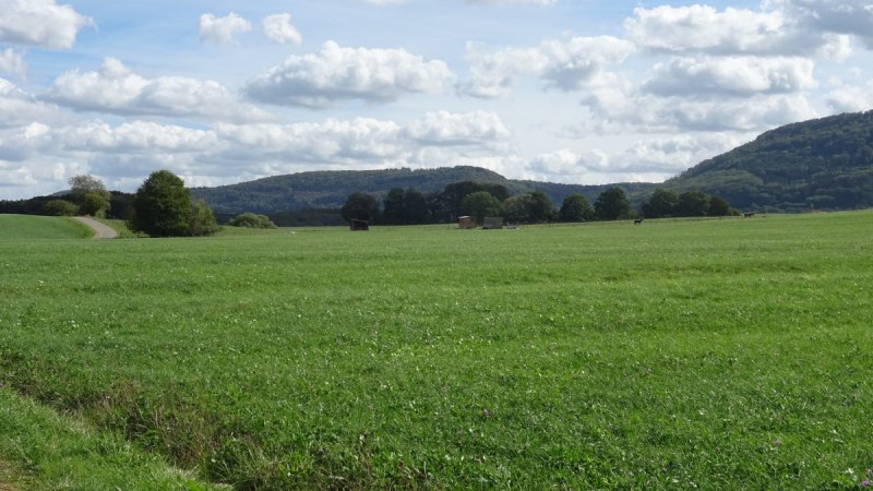 Weite grüne Wiese mit sanften Hügeln im Hintergrund. Der Himmel ist mit weißen Wolken bedeckt, ein Weg führt durch die Landschaft., © Foto: Cornelia Steinbach Weite grüne Wiese mit sanften Hügeln im Hintergrund. Der Himmel ist mit weißen Wolken bedeckt, ein Weg führt durch die Landschaft., © Foto: Cornelia Steinbach