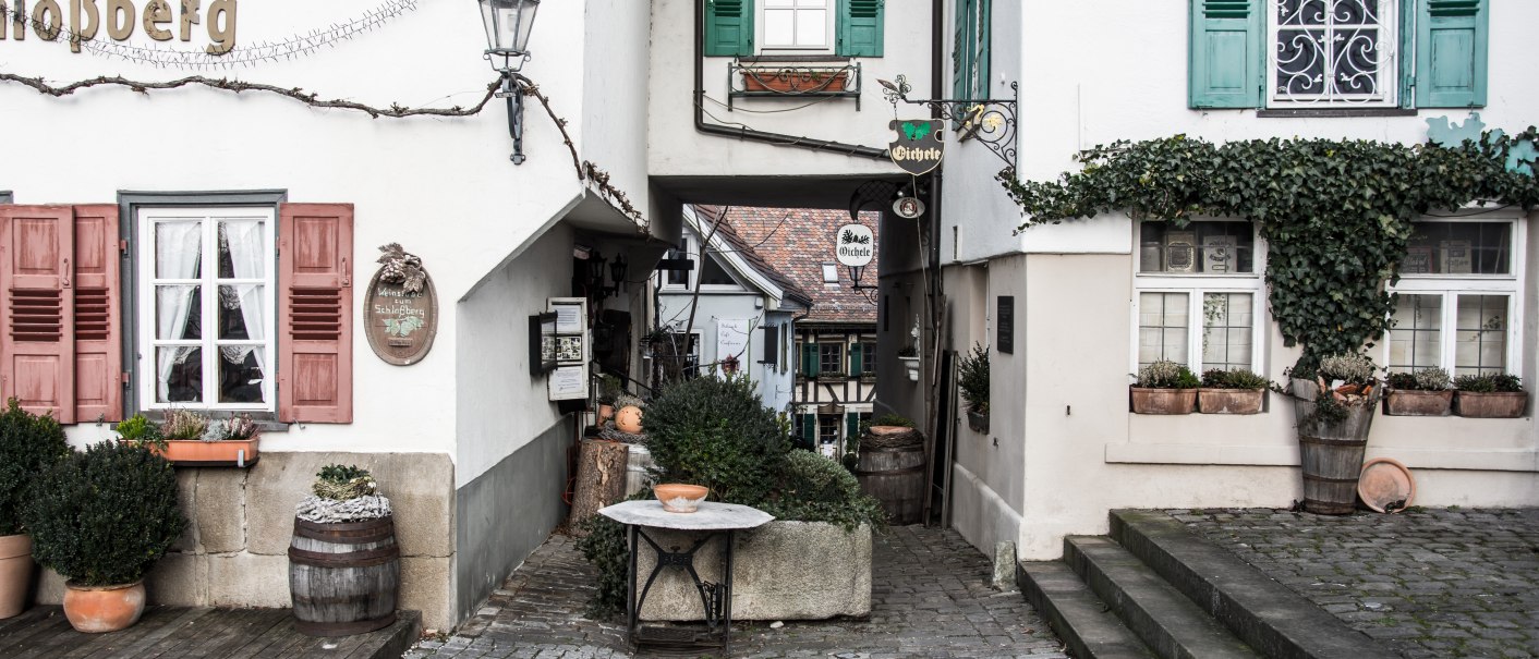 Schmale Gasse in einer Altstadt mit Fachwerkhäusern, Pflanzen in Töpfen und dekorativen Schildern. Kopfsteinpflaster und Treppenstufen., © Martina Naumov