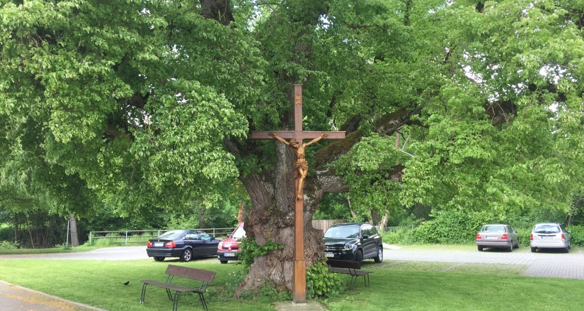 Ein Holzkreuz mit Jesusfigur steht vor einem großen Baum auf einer Wiese. Im Hintergrund sind geparkte Autos und eine Bank zu sehen., © www.pro-cycl.de Ein Holzkreuz mit Jesusfigur steht vor einem großen Baum auf einer Wiese. Im Hintergrund sind geparkte Autos und eine Bank zu sehen., © www.pro-cycl.de