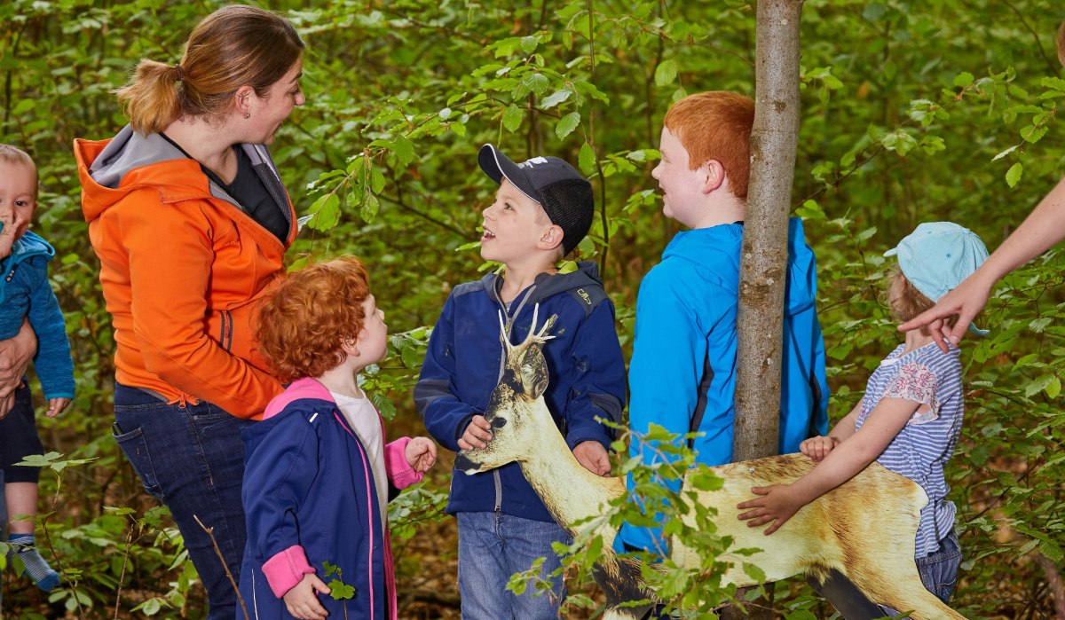 Kinder und Erwachsene stehen im Wald um ein Rehmodell. Sie sind in Gespräch vertieft und von grünen Blättern umgeben., © Natur.Nah. Schönbuch & Heckengäu