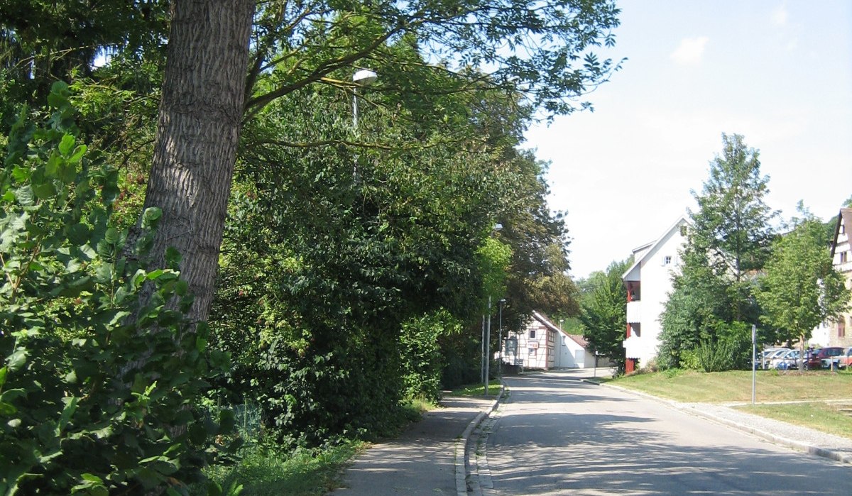 Ein schattiger Gehweg verläuft parallel zu einer Straße, gesäumt von Bäumen und Sträuchern. Im Hintergrund sind Wohnhäuser zu sehen., © Land der 1000 Hügel - Kraichgau-Stromberg