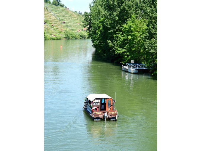 Ein Floßboot auf einem Fluss, umgeben von grünen Bäumen und Weinbergen im Hintergrund., © Cool-Tours StattReisen Ein Floßboot auf einem Fluss, umgeben von grünen Bäumen und Weinbergen im Hintergrund., © Cool-Tours StattReisen