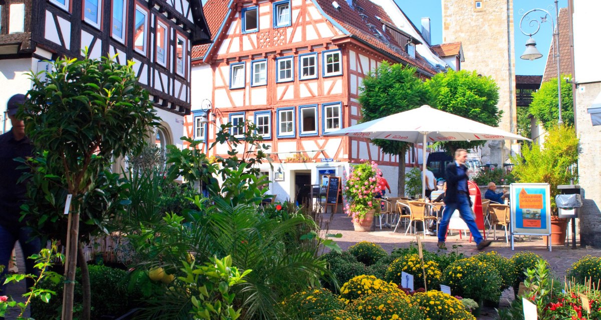 Fachwerkhäuser und ein Turm in einer Altstadt. Im Vordergrund ein Blumenmarkt mit bunten Pflanzen unter blauem Himmel., © Waiblingen - Stuttgart-Marketing GmbH Fachwerkhäuser und ein Turm in einer Altstadt. Im Vordergrund ein Blumenmarkt mit bunten Pflanzen unter blauem Himmel., © Waiblingen - Stuttgart-Marketing GmbH
