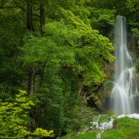 Der Uracher Wasserfall flie&szlig;t durch dichten, gr&uuml;nen Wald und f&auml;llt &uuml;ber eine steile Felswand. &Uuml;ppige Vegetation umgibt den Wasserfall.