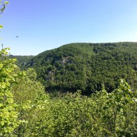 Grüne, bewaldete Hügel erstrecken sich unter einem klaren blauen Himmel. Im Vordergrund sind dichte Büsche und Bäume zu sehen., © Bad Urach Tourismus