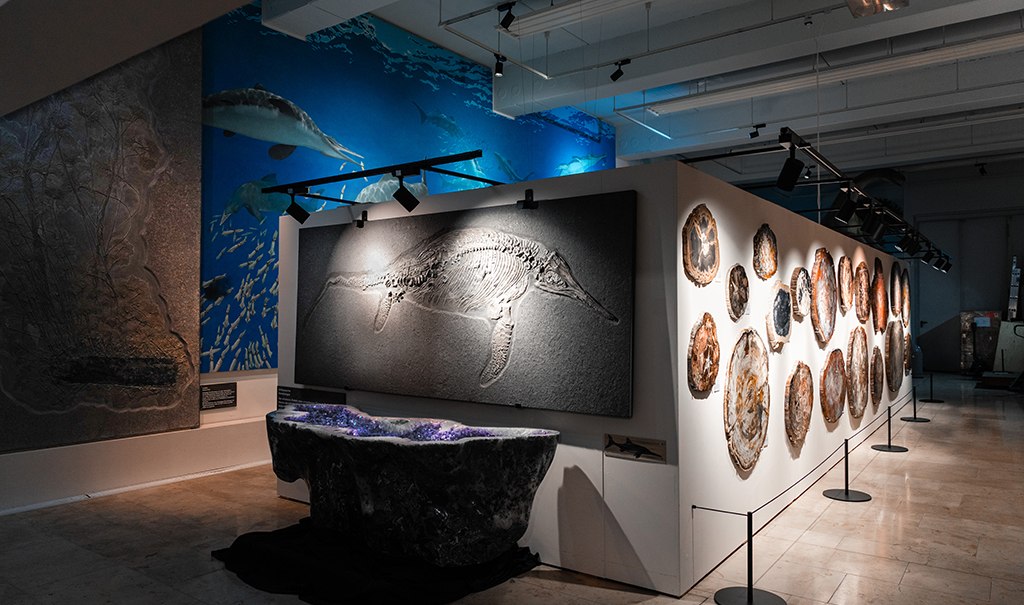 Museumsausstellung mit Fossilien an der Wand und einer großen Wandmalerei eines Meereslebewesens. Beleuchtung betont die Exponate., © Tobias Tropper