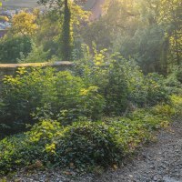 Skulpturenpfad in Herrenberg mit einer Holzskulptur, umgeben von B&auml;umen und einem Fachwerkhaus im Hintergrund. Die Abendsonne beleuchtet die Szene., &copy; Stuttgart-Marketing GmbH, Martina Denker