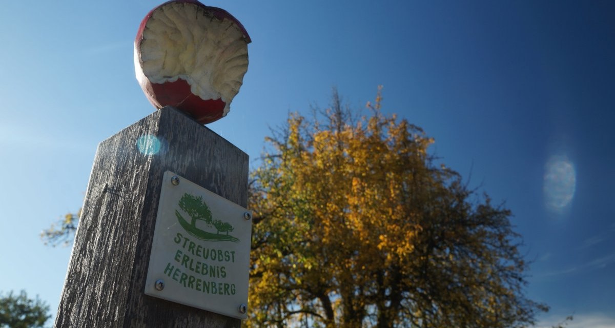 Ein Holzpfosten mit einem angebissenen Apfel und einem Schild 'Streuobst Erlebnis Herrenberg' vor einem Baum und blauem Himmel., © Natur.Nah. Schönbuch & Heckengäu Ein Holzpfosten mit einem angebissenen Apfel und einem Schild 'Streuobst Erlebnis Herrenberg' vor einem Baum und blauem Himmel., © Natur.Nah. Schönbuch & Heckengäu