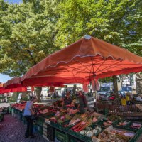 Morgenröte und Markterwachen, © Stadt Nürtingen